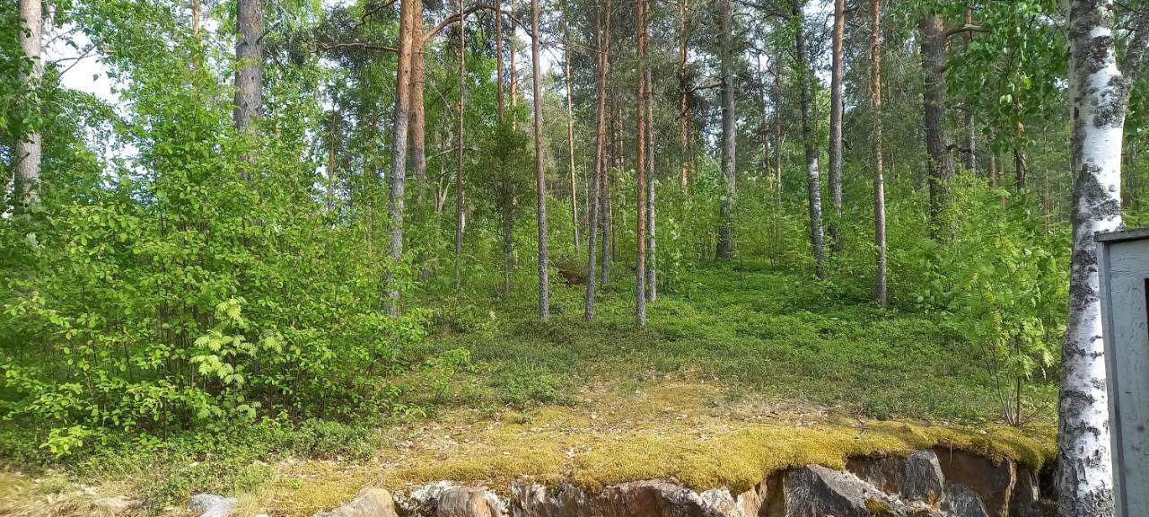Apartmán Saimaan Kodikas Savonlinna Exteriér fotografie